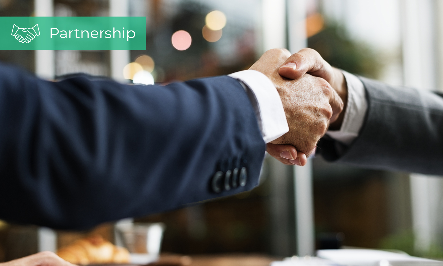Business men having a handshake